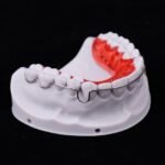 1745552556_xR3B50nUC9